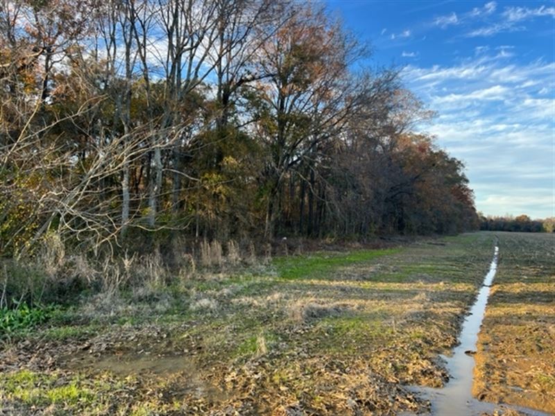 La, West Carroll 40 Acres : Epps : West Carroll Parish : Louisiana