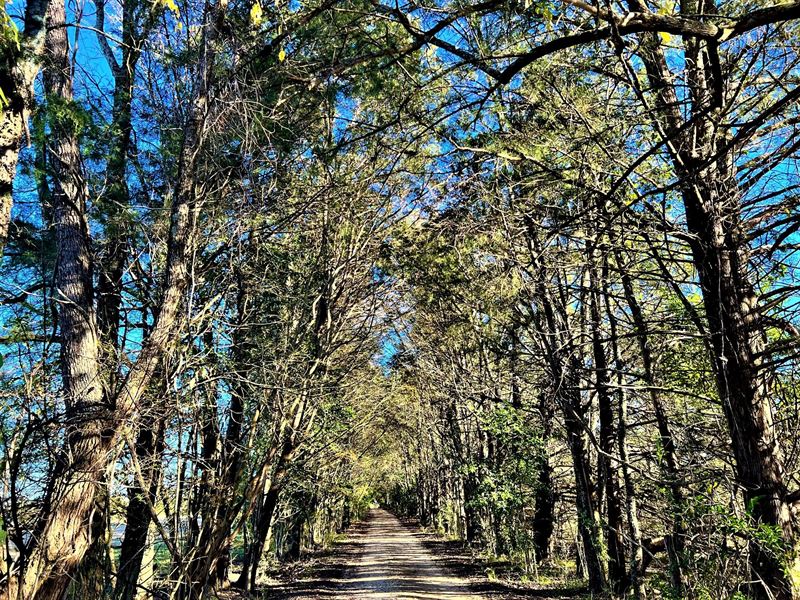 3-041 Green Acres Farm : Montgomery : Montgomery County : Alabama
