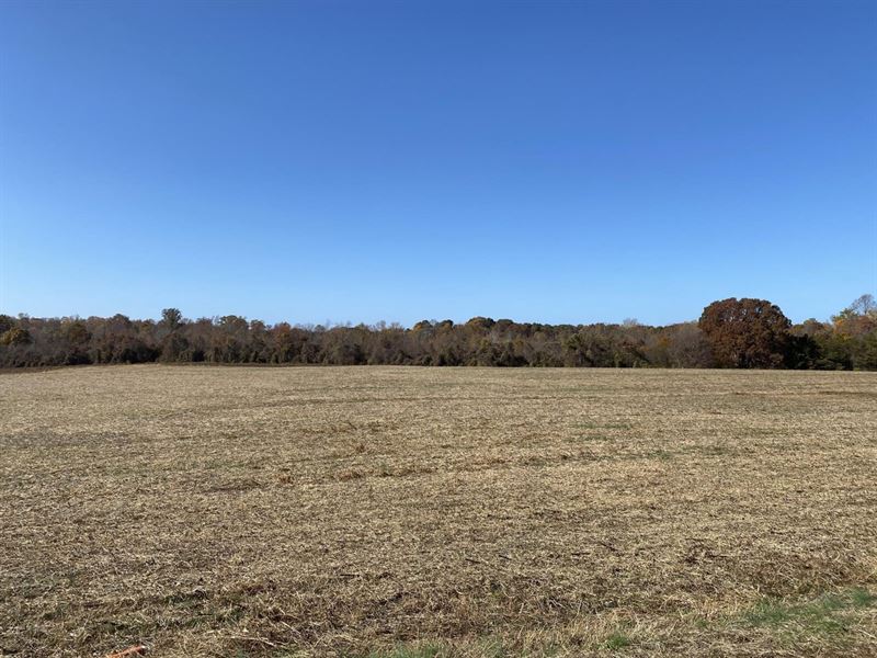 2.84 Acres Off Umberger Road, Cl : Cleveland : Rowan County : North Carolina