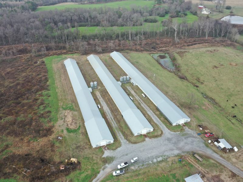 Riedlinger Broiler Farm : Albertville : Marshall County : Alabama