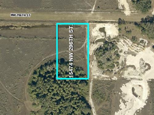 Cash Sale Land for Small Homestead : Okeechobee : Florida