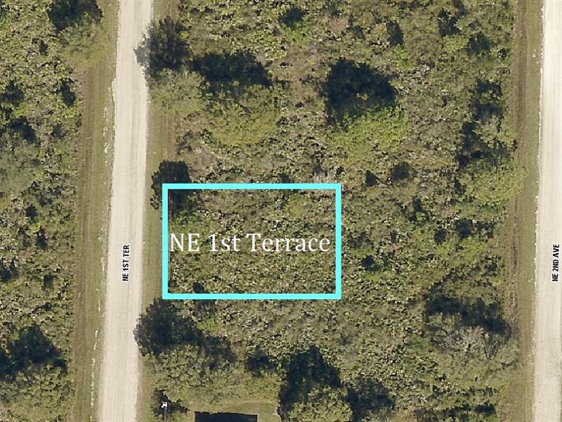Orange Blossom Ranches : Okeechobee : Okeechobee County : Florida