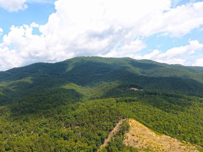 Recreational Mountain Land : Elliston : Montgomery County : Virginia