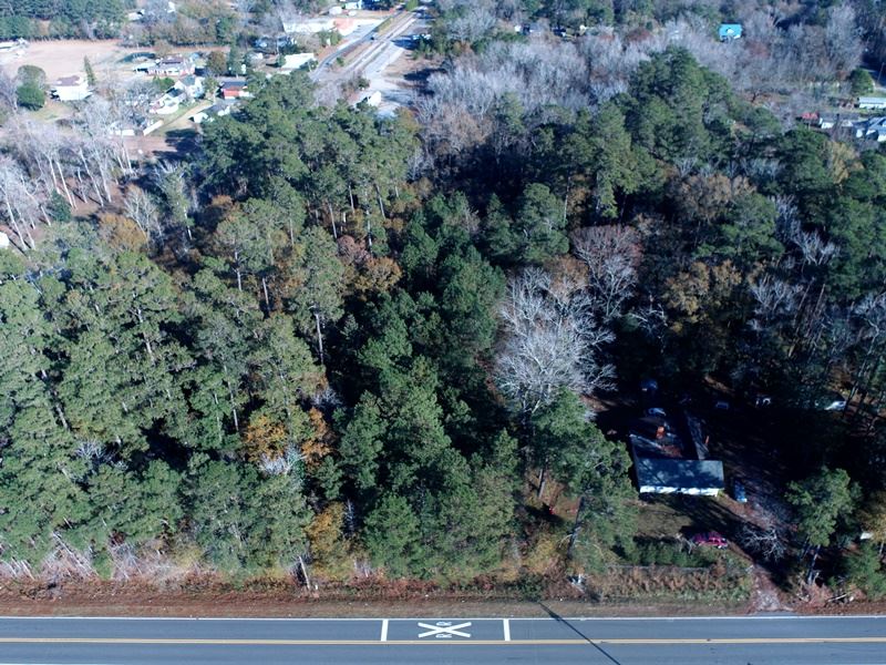 Heavily Wooded Lot for Sale : Cerro Gordo : Columbus County : North Carolina