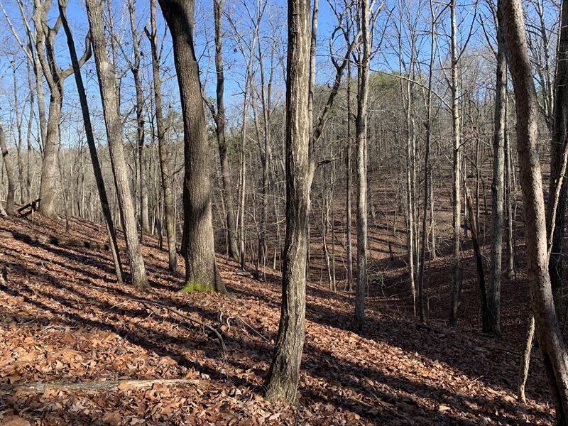 33 Acres of Privacy : Rockmart : Polk County : Georgia