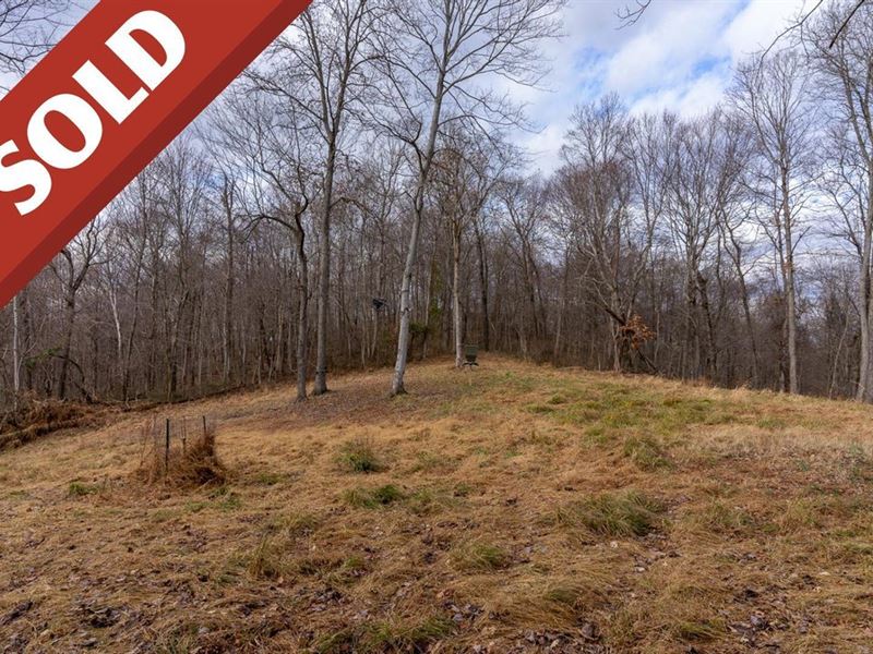Leith Run Rd, 80 Acres, Washingto : New Matamoras : Washington County : Ohio