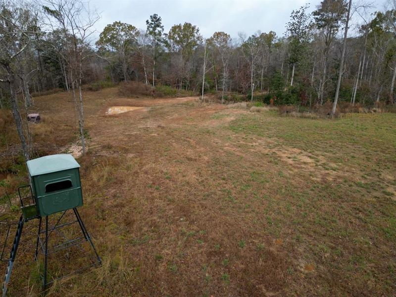 177 Acres Hunting Land for Sale St : Saint Francisville : West Feliciana Parish : Louisiana