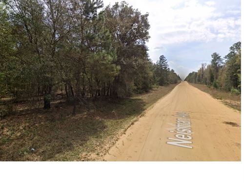 Sellers Financing, $139 Monthly : Interlachen : Putnam County : Florida