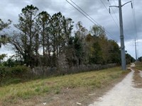 NO Down Payment, $119 Per Month : Hawthorne : Putnam County : Florida