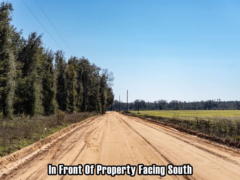 Owner Fi, Home, Hunting / Ag No FZ : Sneads : Jackson County : Florida