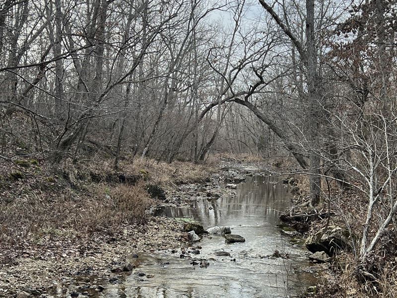 Benton County Missouri Perfect 55 : Edwards : Benton County : Missouri
