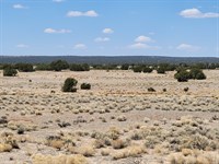 3.75 Sprawling Acres of Paradise : Saint Johns : Apache County : Arizona