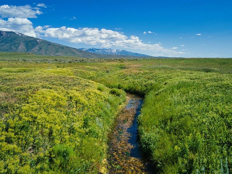 Ruby Mountain Ranch : Spring Creek : Elko County : Nevada