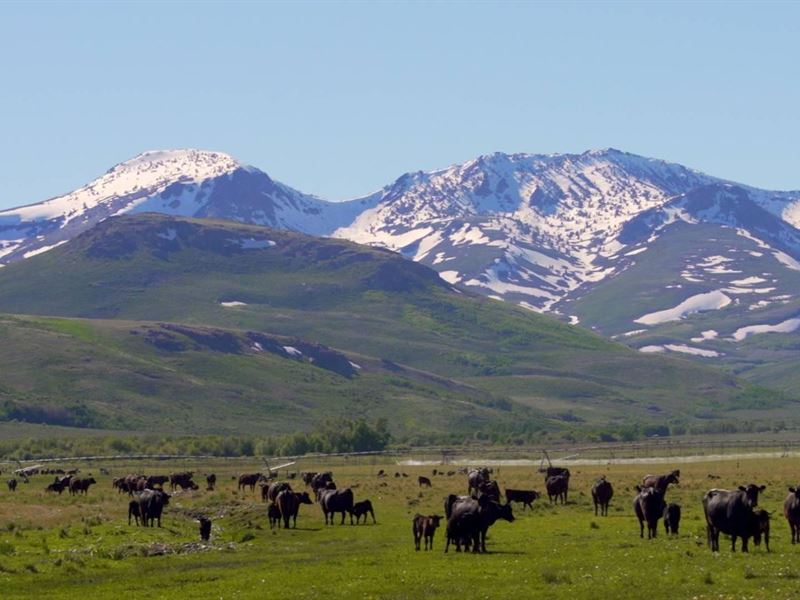 Lawson Ranch : Elko : Elko County : Nevada