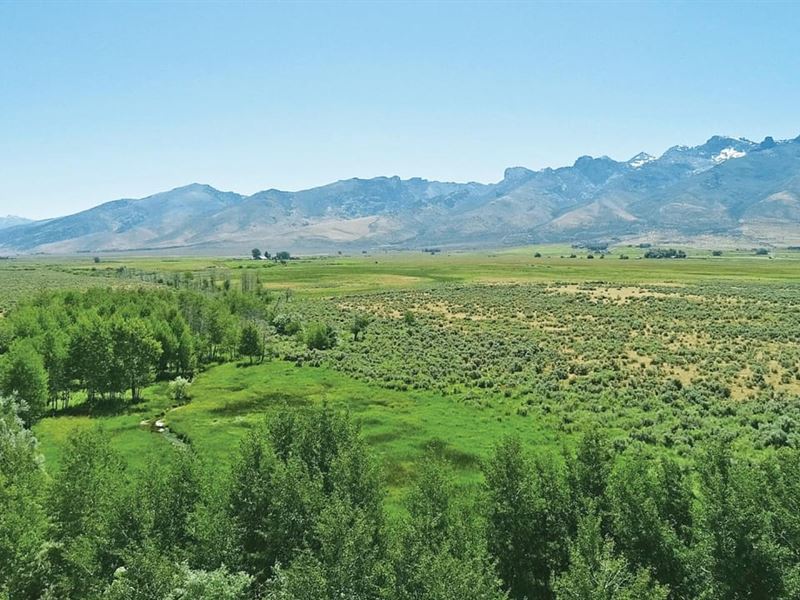 Ruby Mountain Ranch 1 : Spring Creek : Elko County : Nevada