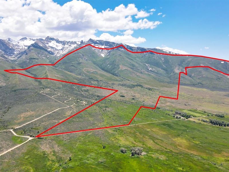 Ruby Mountain Ranch 2 : Spring Creek : Elko County : Nevada