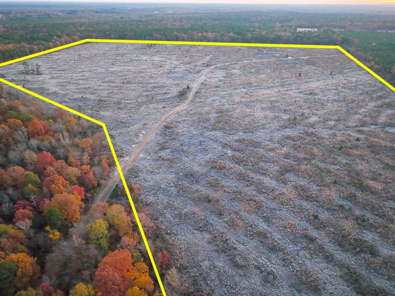 208 Acres, CR 2108, Kiskadee : Bagwell : Red River County : Texas