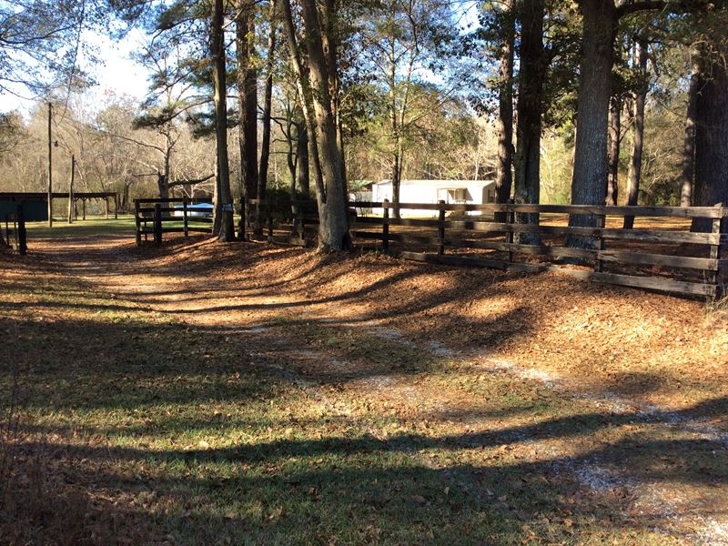 Ivy Creek MH with Land : Rutledge : Crenshaw County : Alabama