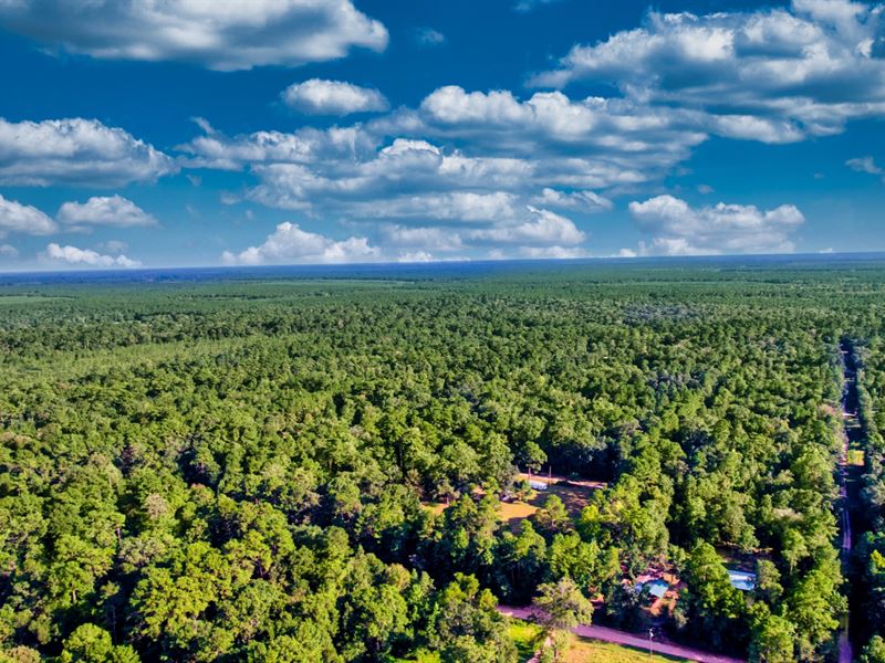 Wooded Corner Lot with Utilities : Cleveland : Liberty County : Texas