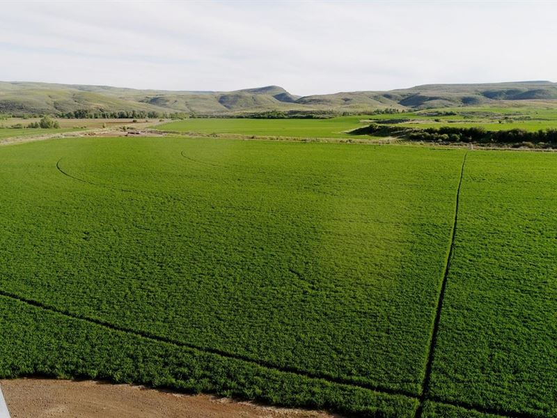 Fairchild Farm : Midvale : Washington County : Idaho