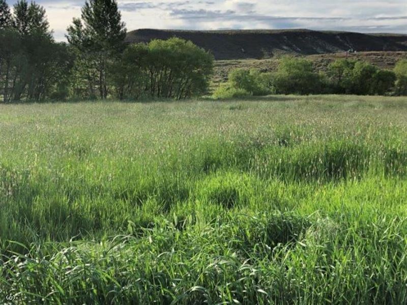 Dry Creek Ranch : Westfall : Malheur County : Oregon