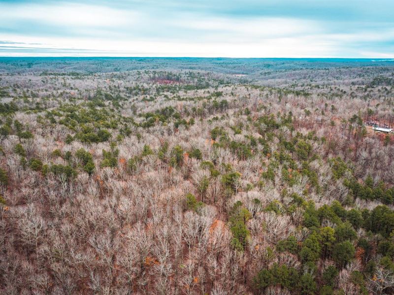 Carter Creek 80 : Van Buren : Carter County : Missouri