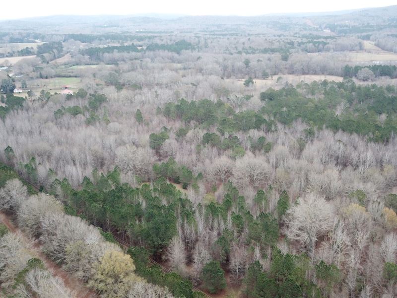 52 Acres in Pike County, GA : Molena : Pike County : Georgia