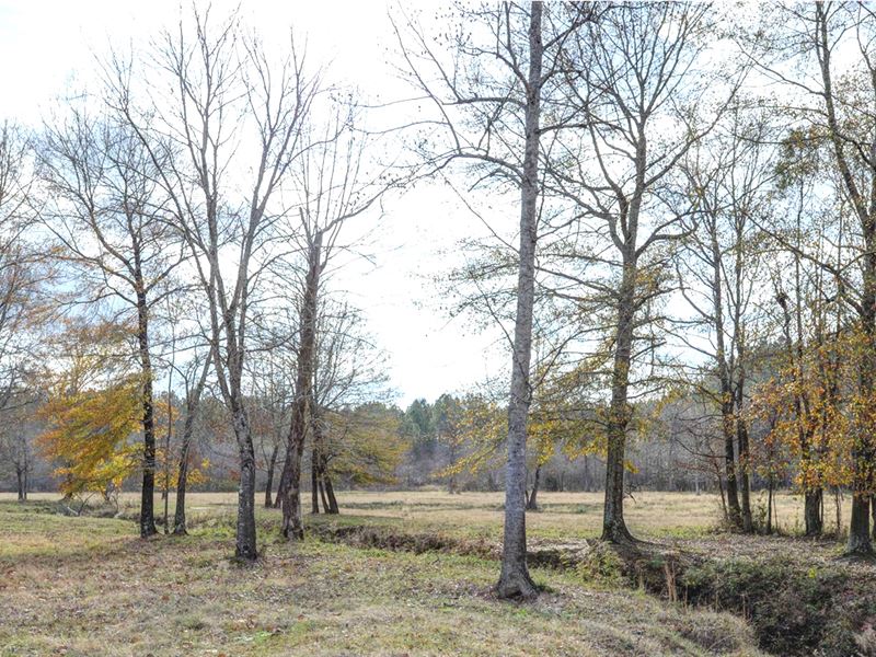103 Acres in Lauderdale County : Lauderdale : Lauderdale County : Mississippi