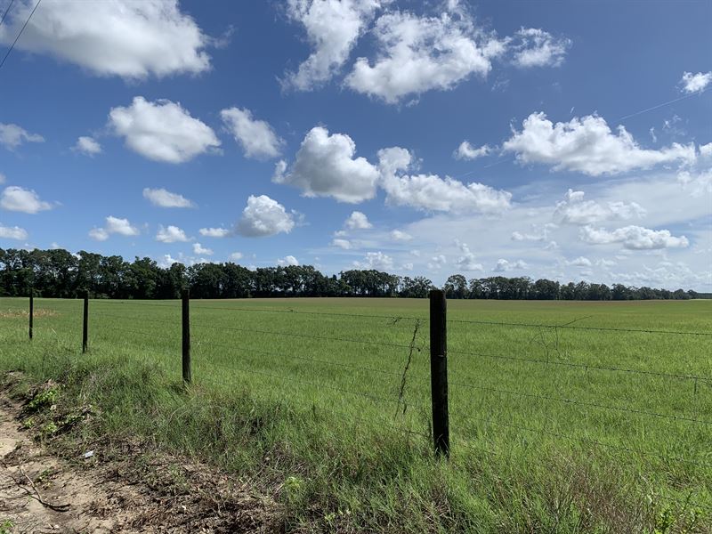 Coastal Bermuda Hay Farm Tract : Live Oak : Suwannee County : Florida