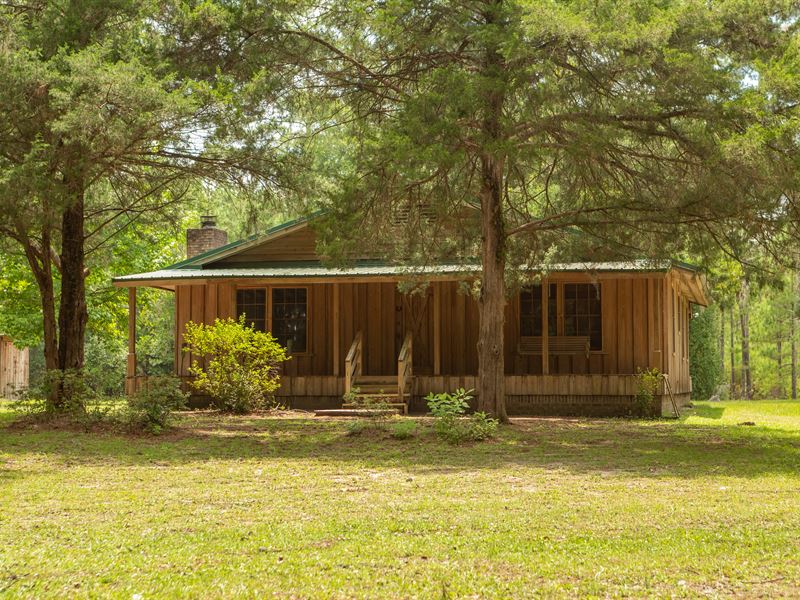 Cypress Cabin Near Osceola Forest : Lake City : Suwannee County : Florida