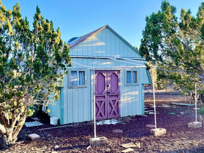 With Shed, Metered Water & Power : Vernon : Apache County : Arizona