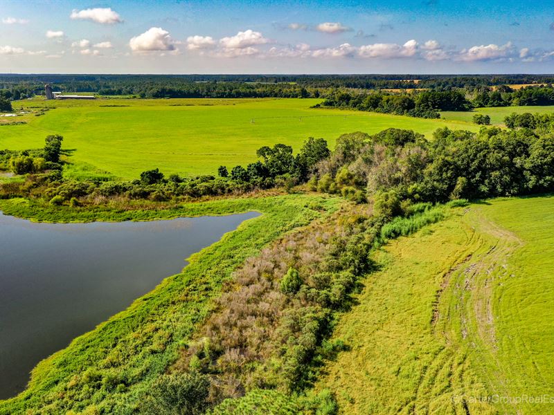 80 Acres of Serenity : Bristol : Pierce County : Georgia