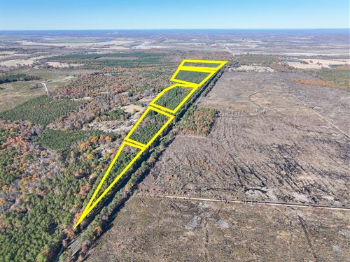 23 Acres, Hwy 37, T-1 Kiskadee : Albion : Red River County : Texas