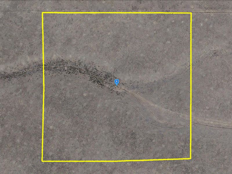 Expansive Land Opportunity in CO : San Acacio : Costilla County : Colorado