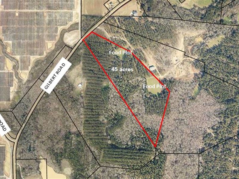 45 Acre Land Tract, Houston County : Elko : Houston County : Georgia