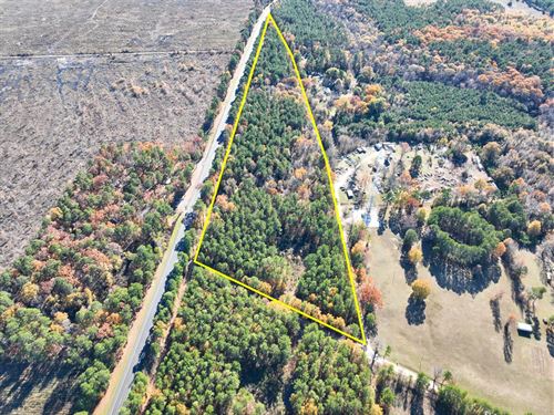 21 Acres, Hwy 37, T-5 Kiskadee : Albion : Red River County : Texas