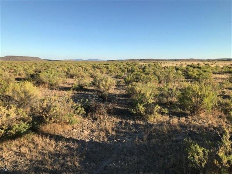 80 Acres 1.25 Miles West of Crane : Burns : Harney County : Oregon