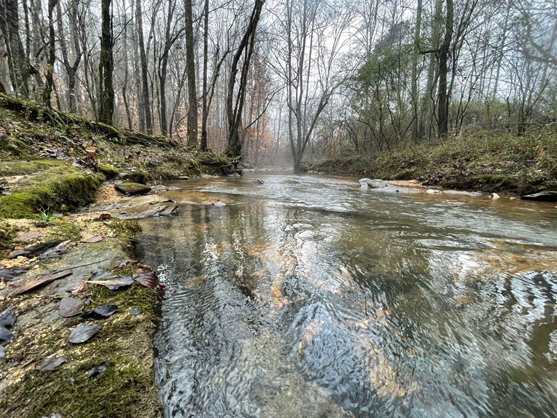 412 Ac Cane Creek & Hardwoods : Fruithurst : Cleburne County : Alabama