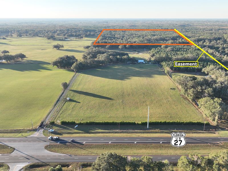 Chiefland 40 Acres : Chiefland : Levy County : Florida