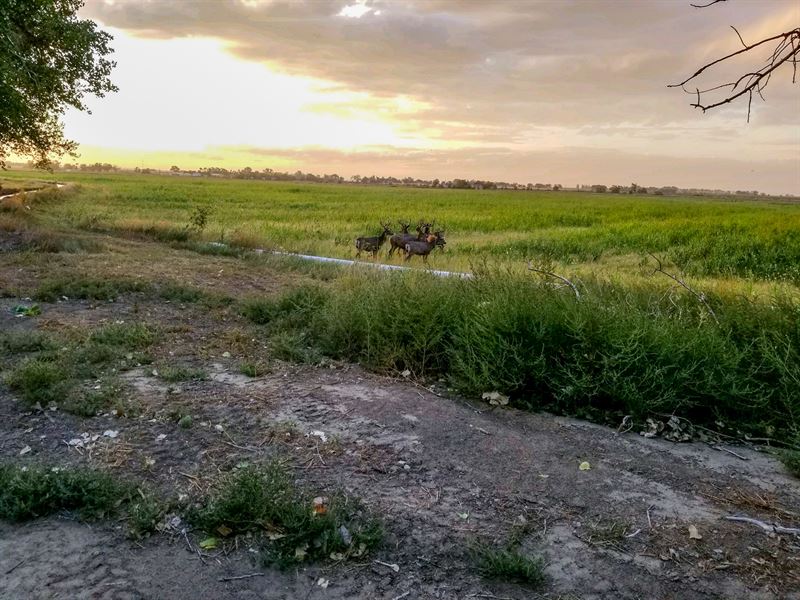 160.76 Acre Irrigated Farm for Sale : Cheraw : Otero County : Colorado