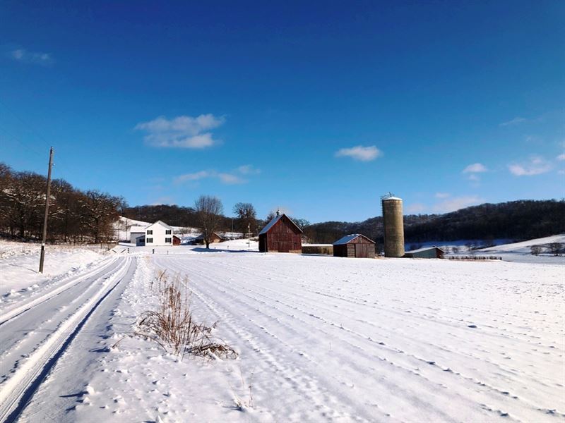 Bear Creek Farmette : Plain : Sauk County : Wisconsin