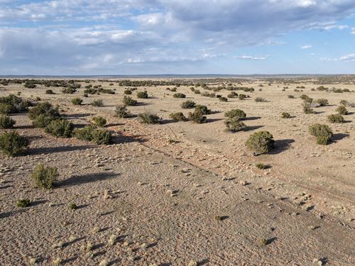 Your 2 Acres Tiny Home Plot : Sanders : Apache County : Arizona