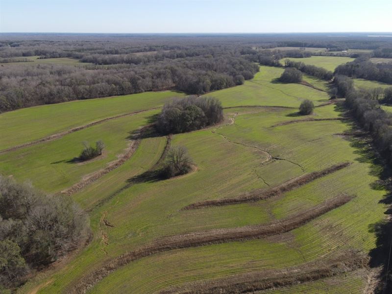 66.85 Acres in Yazoo County, MS : Benton : Yazoo County : Mississippi