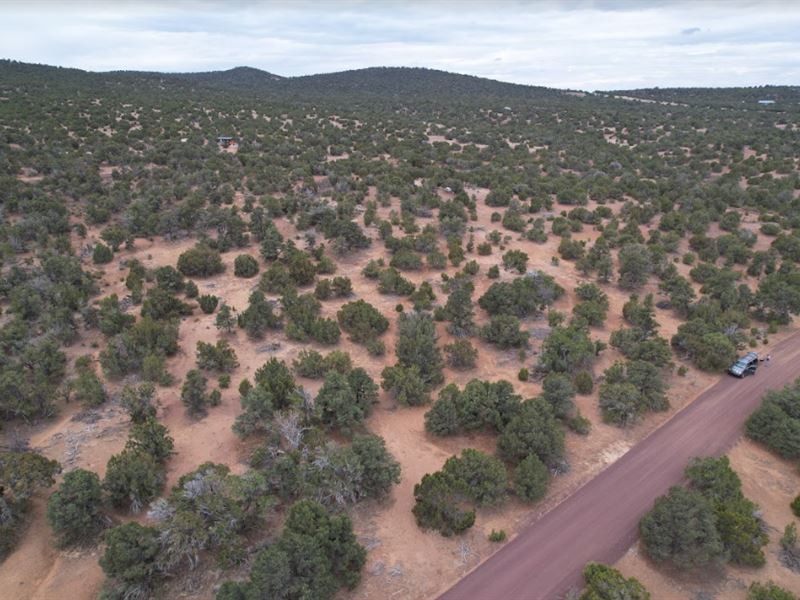 Your Perfect Arizona Escape : Vernon : Apache County : Arizona