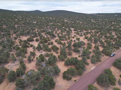 Your Perfect Arizona Escape : Vernon : Apache County : Arizona