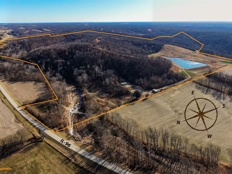285+/- Acres of Hunter's Paradise : Mozier : Calhoun County : Illinois