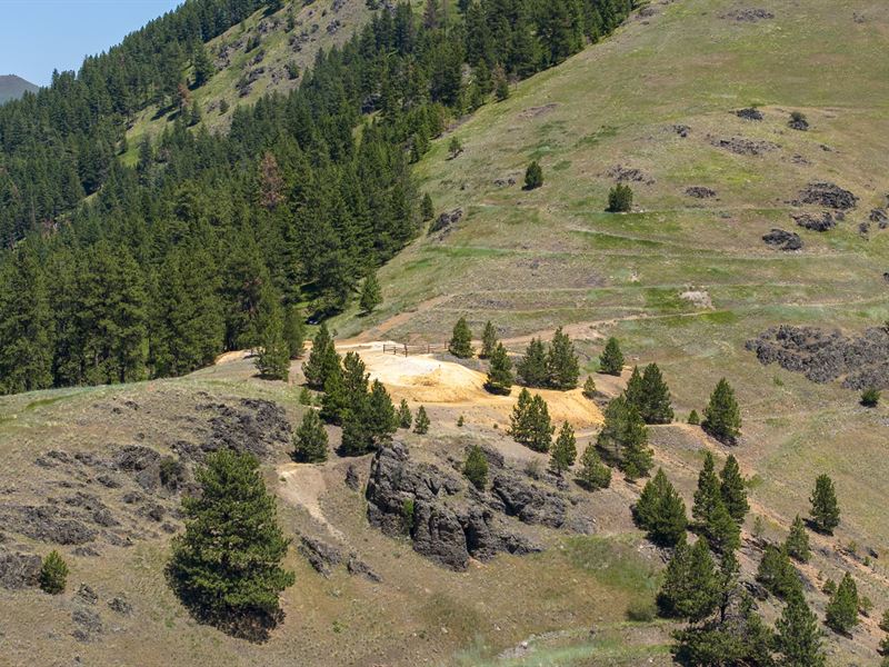 Blue Jacket Mine : Lucile : Idaho County : Idaho