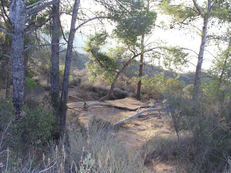 10 Acres in Altadena, CA : Altadena : Los Angeles County : California