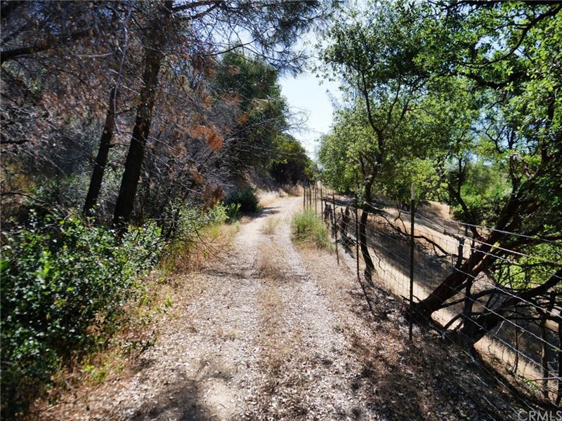 5 Rural Acres, Financing Available : Feather Falls : Butte County : California