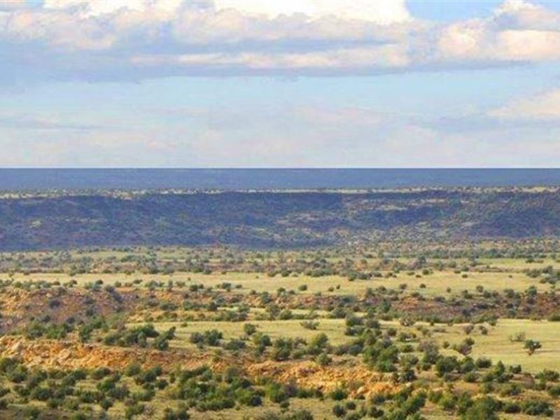 Elk Valley Ranch, 39 Acres Off Grid : Saint Johns : Apache County : Arizona